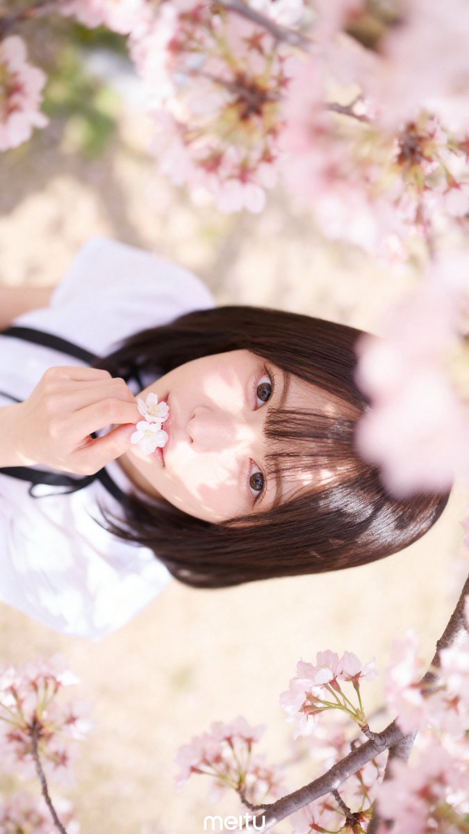 星仲ここみ tweet media