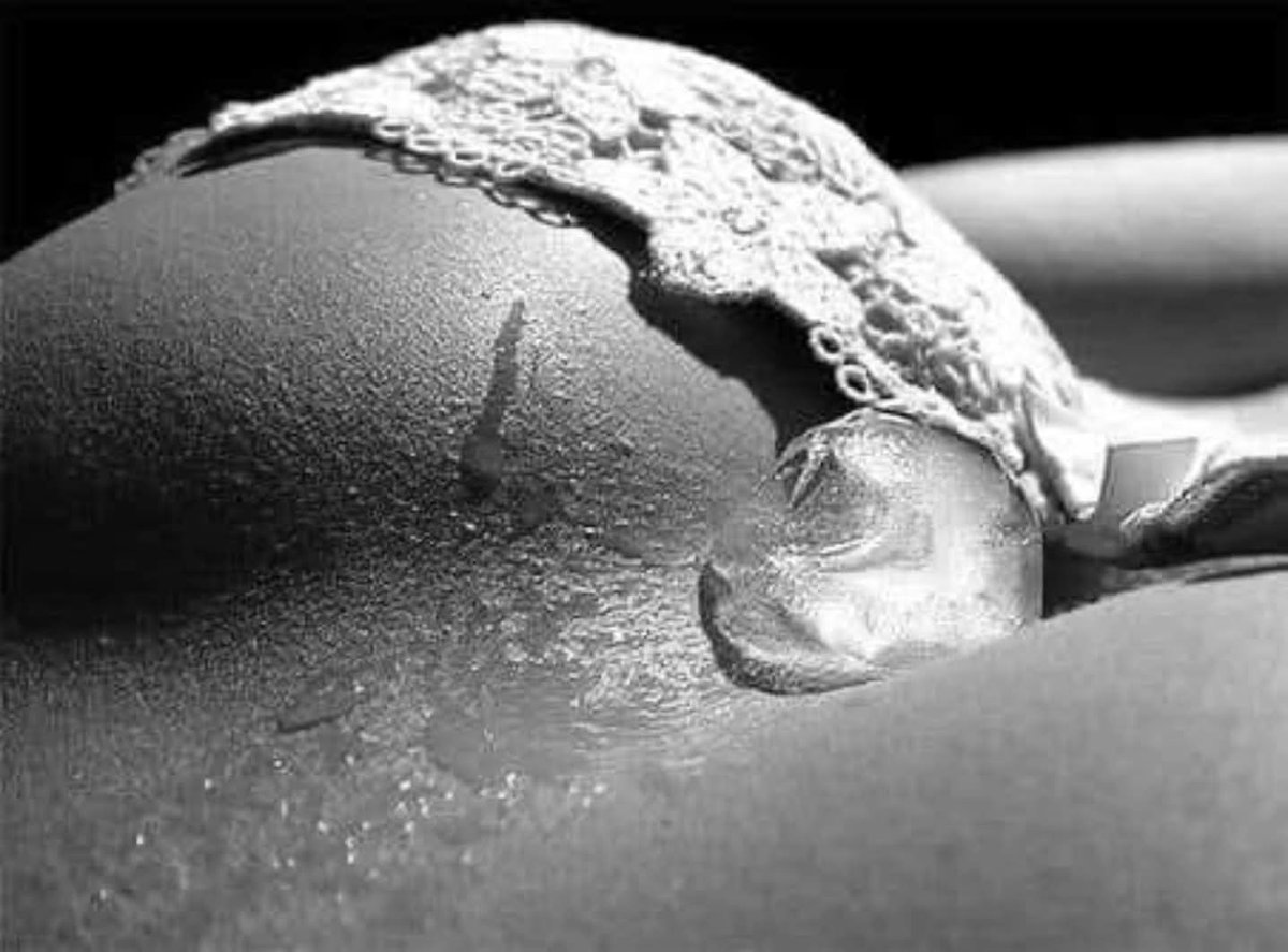 ₜᵤ ᵥₑcᵢₙₒ tweet media