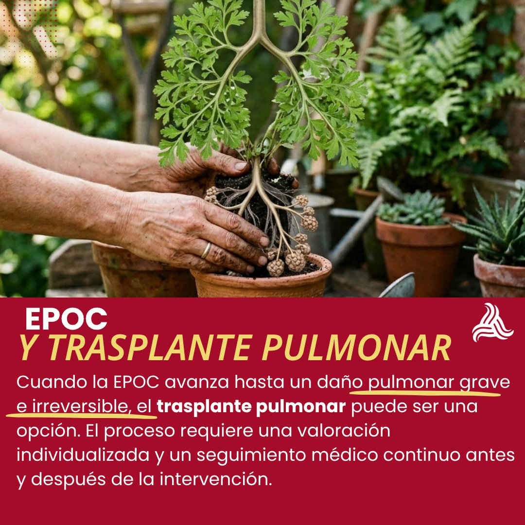 EPOCEspana tweet media