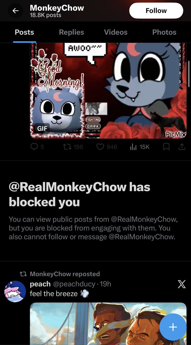 trullify tweet media