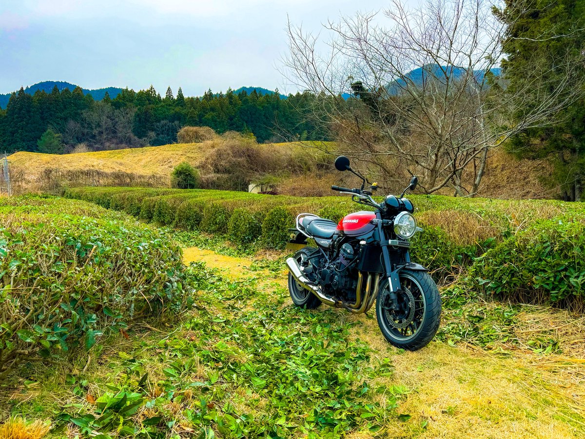 どりるまん△ tweet media