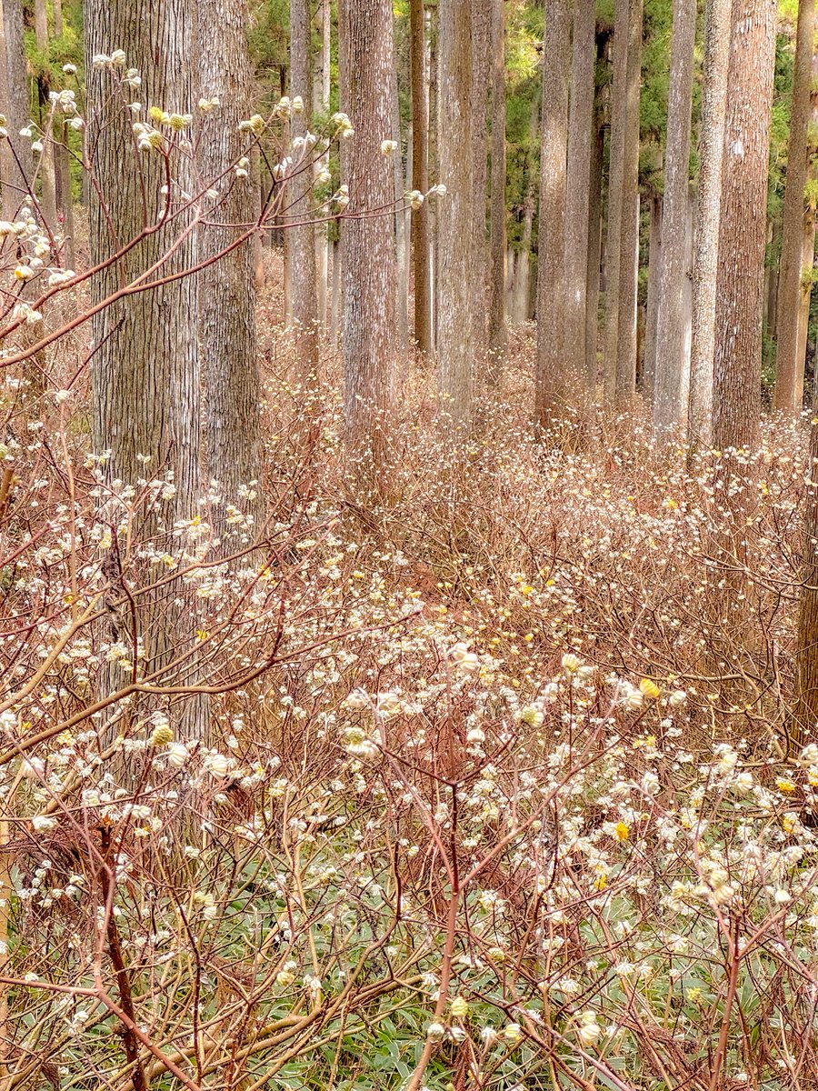 どりるまん△ tweet media