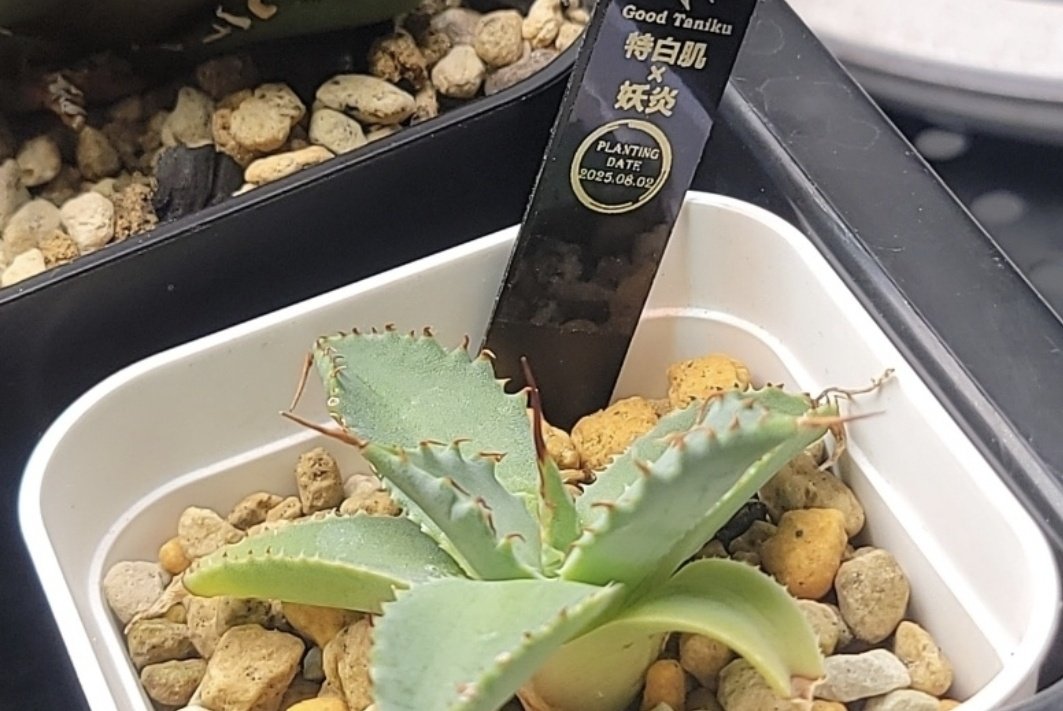 慎一さん🫨 tweet media