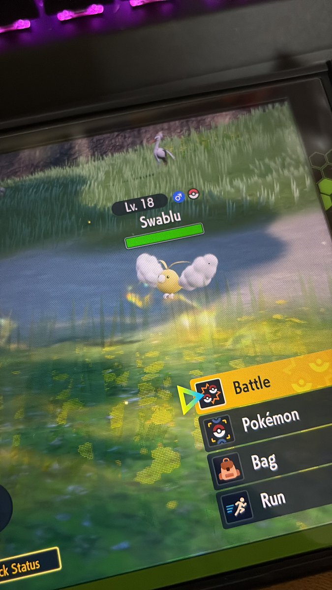 Shiba Inuri 🐶🍮| VTuberTH tweet media