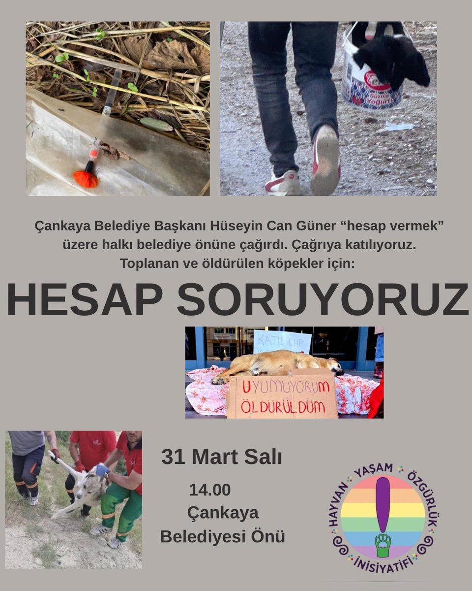 Hayvan, Yaşam, Özgürlük İnisiyatifi tweet media