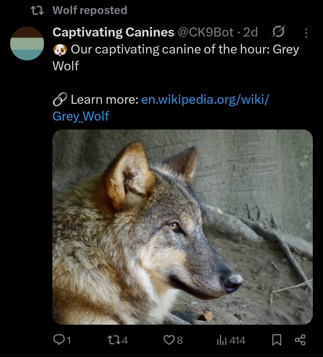 DimkaTA-A3 2.0 tweet media