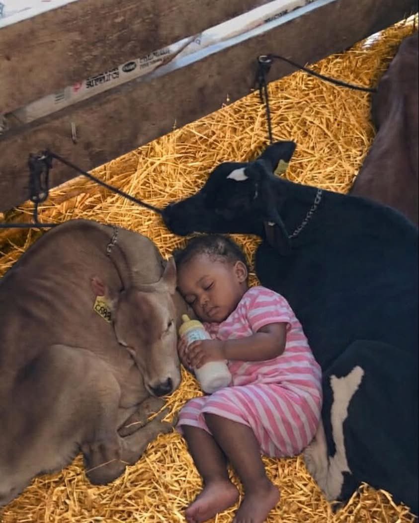 Dieudone HARAGIRIMANA tweet media