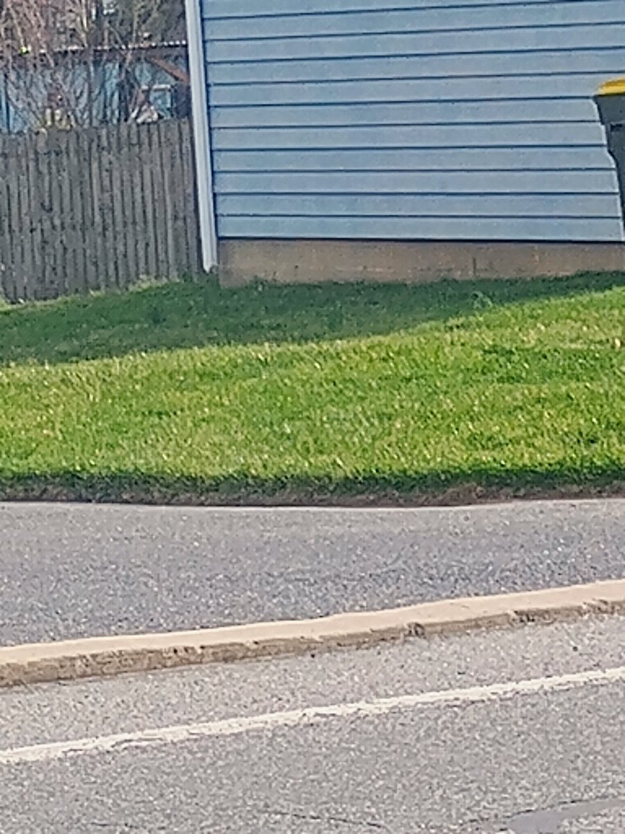 Grassophilia tweet media