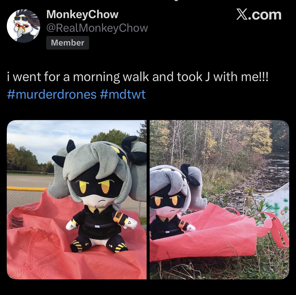 trullify tweet media