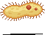 King1417A67329's tweet photo. Some more Micro Organism Enemies. #pixelart #sprite #pixelartist #gameassets #aseprite #ゲームアセット #Enemy #microorganism #微生物 #WhiteBloodCell #白血球 #Amoeba #アメーバ #Paramecium #パラメシウ https://t.co/QoVLjRR1s9