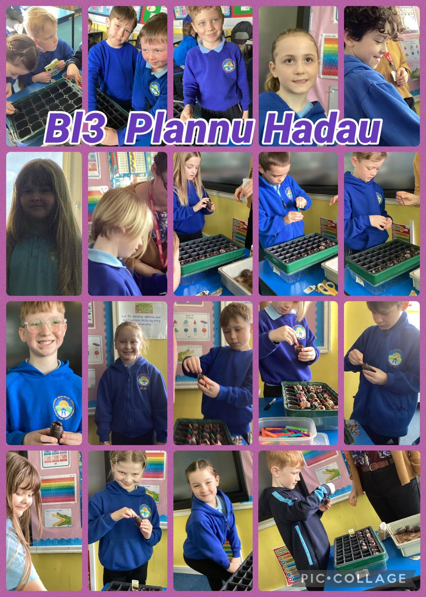 Swiss Valley tweet media