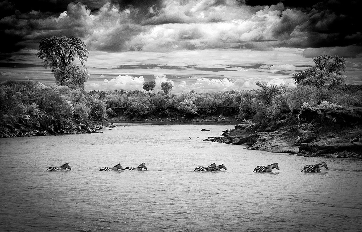 steve Gordon tweet media