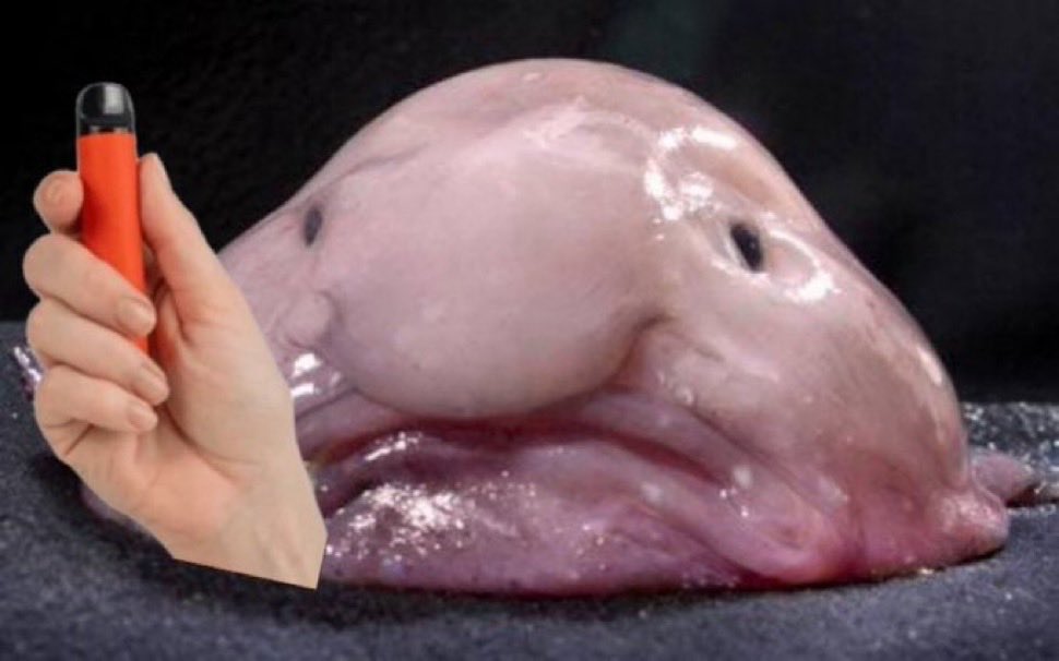 Zaza Locksmith tweet media