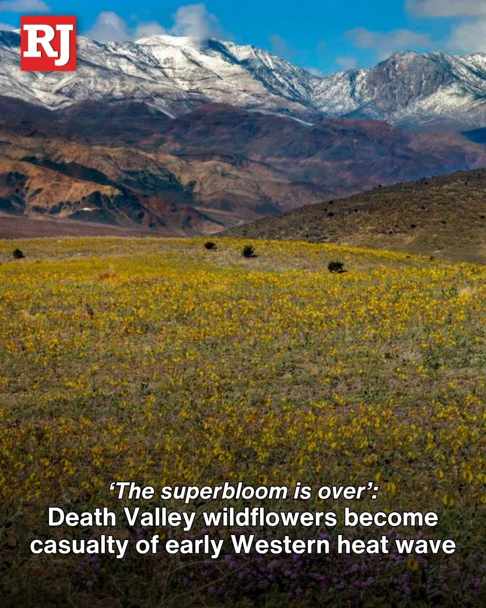 Las Vegas Review-Journal tweet media