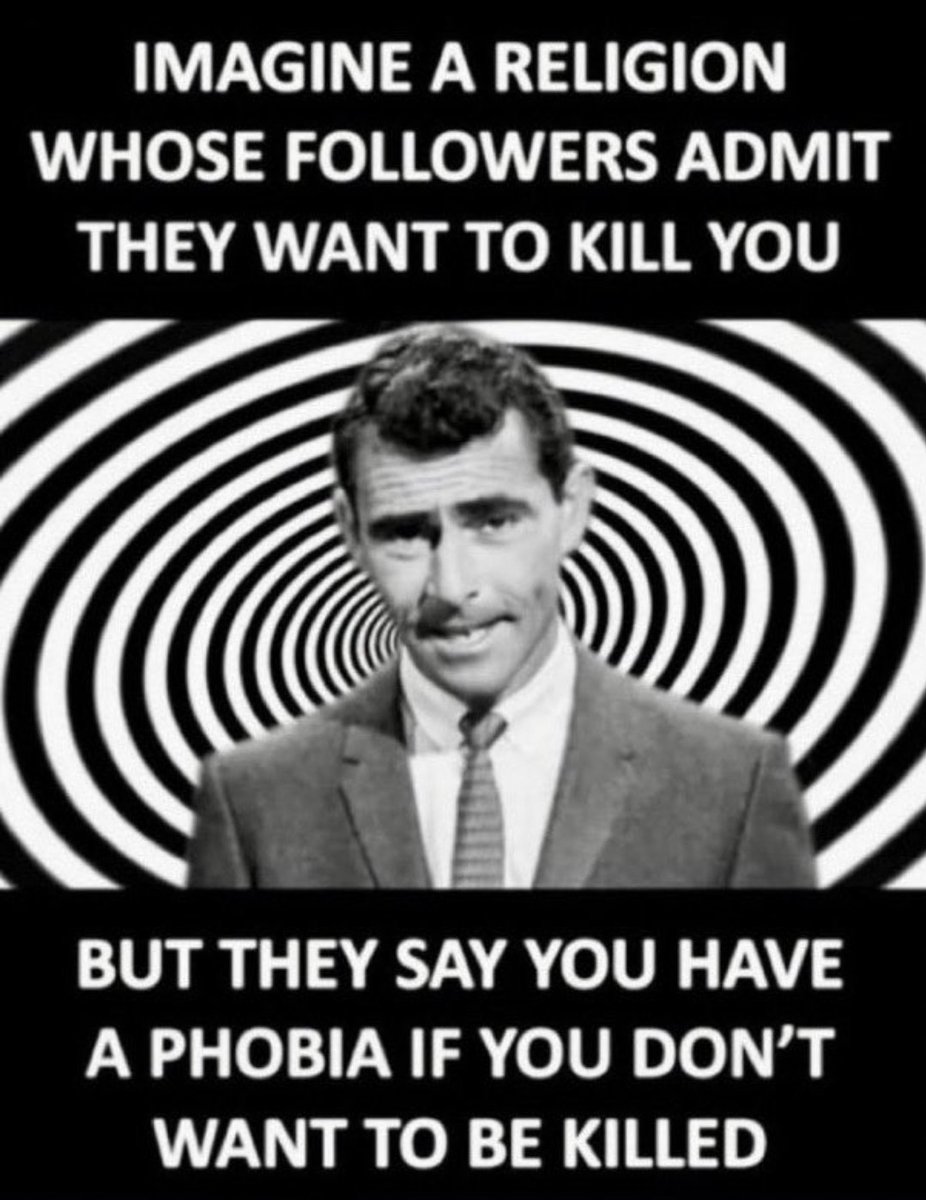 🇺🇸 Shall Not Be Infringed 🇺🇸 tweet media