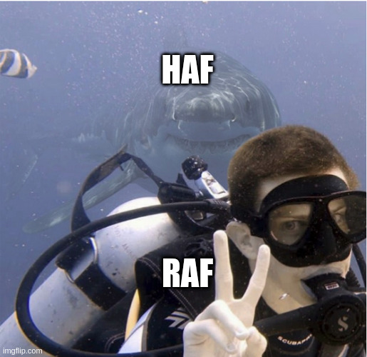 Beta Multi tweet media