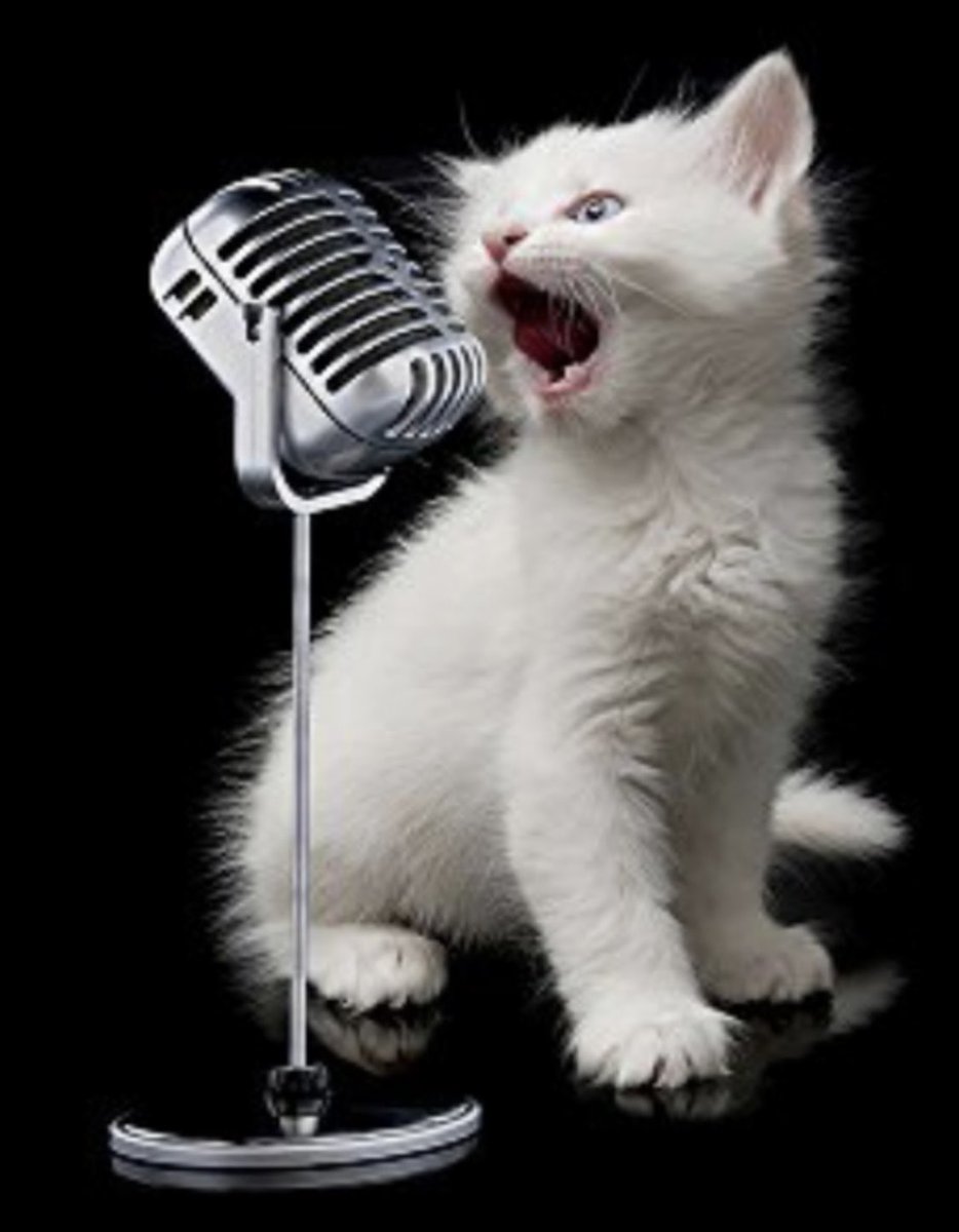 さっきー✨兼業ﾄﾚｰﾀﾞｰ tweet media