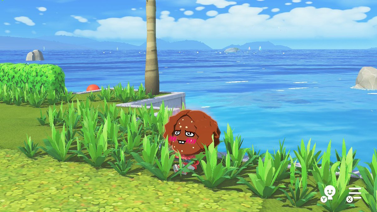 Clem 🍊 tweet media