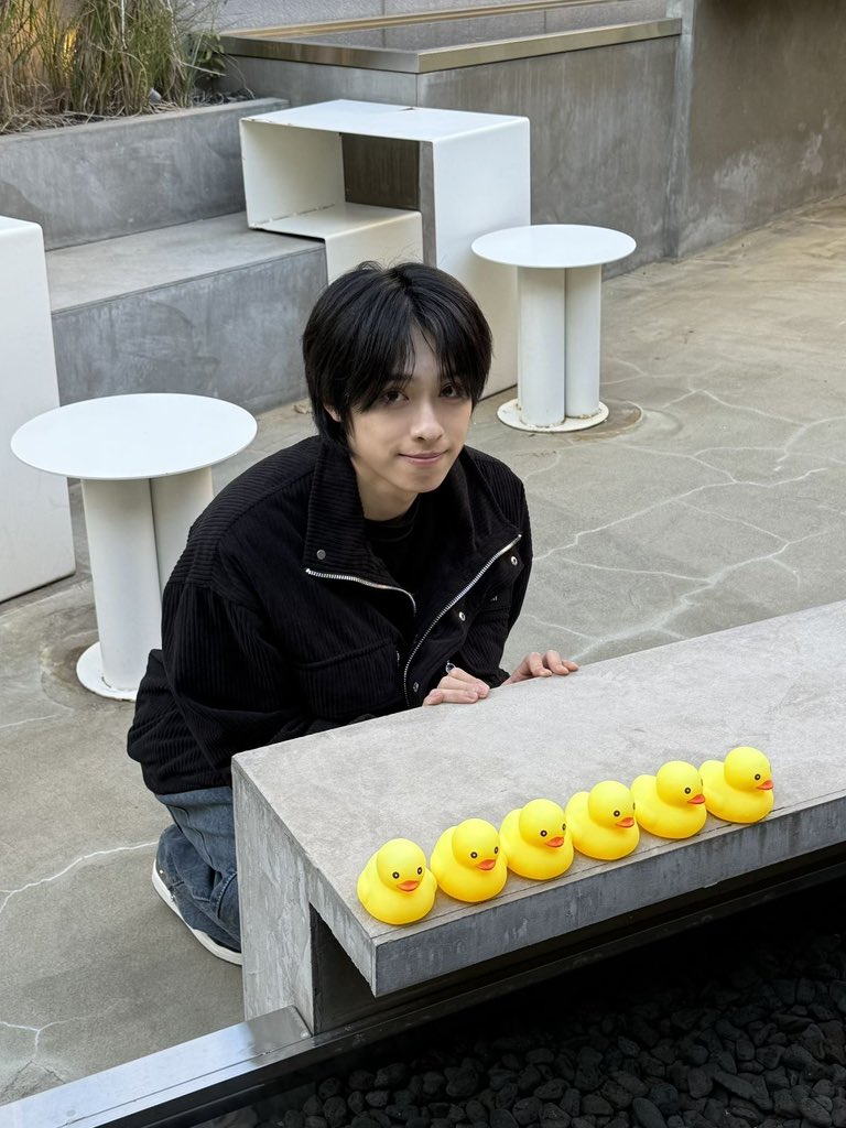 dead and liva tweet media