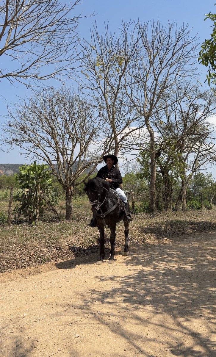 “Rey Zeus” tweet media