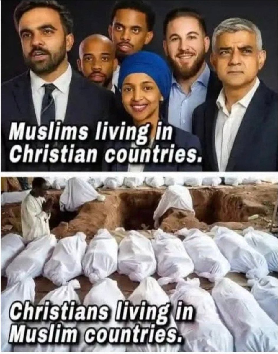 🇺🇸 Shall Not Be Infringed 🇺🇸 tweet media