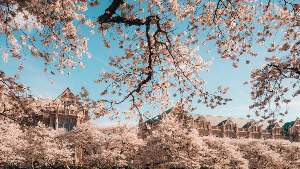 University of Washington tweet media