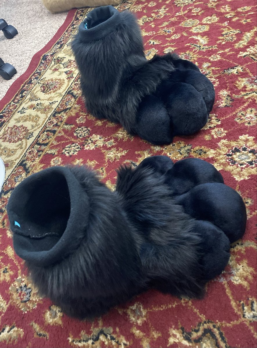 Kilcodo! 🐾💛 tweet media