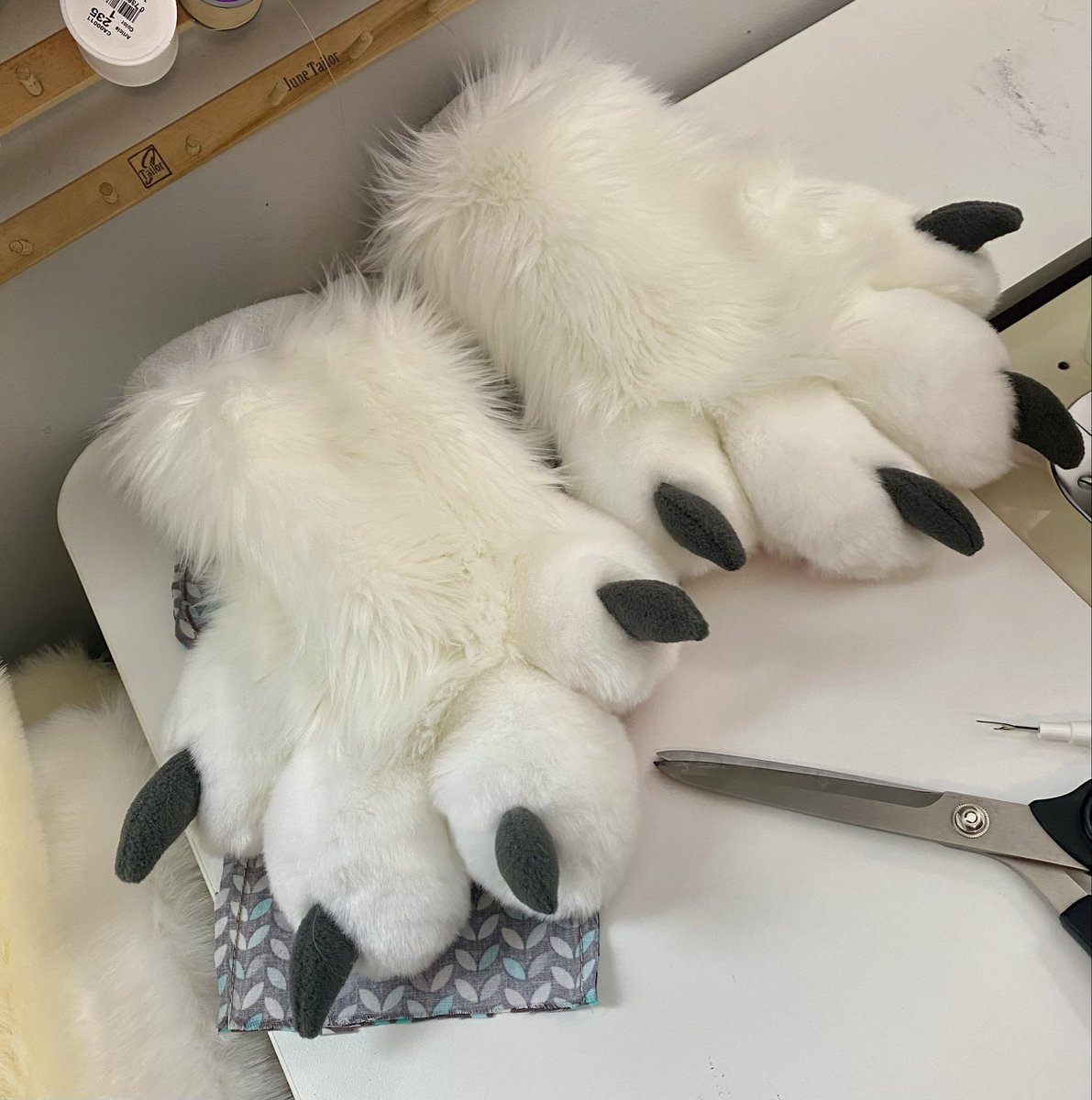 Kilcodo! 🐾💛 tweet media