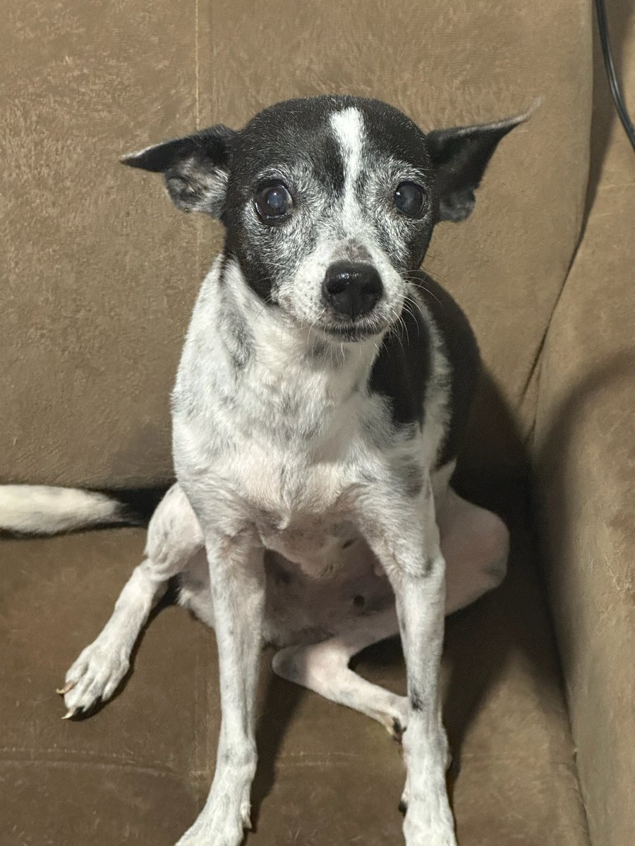 kaarolzx tweet media