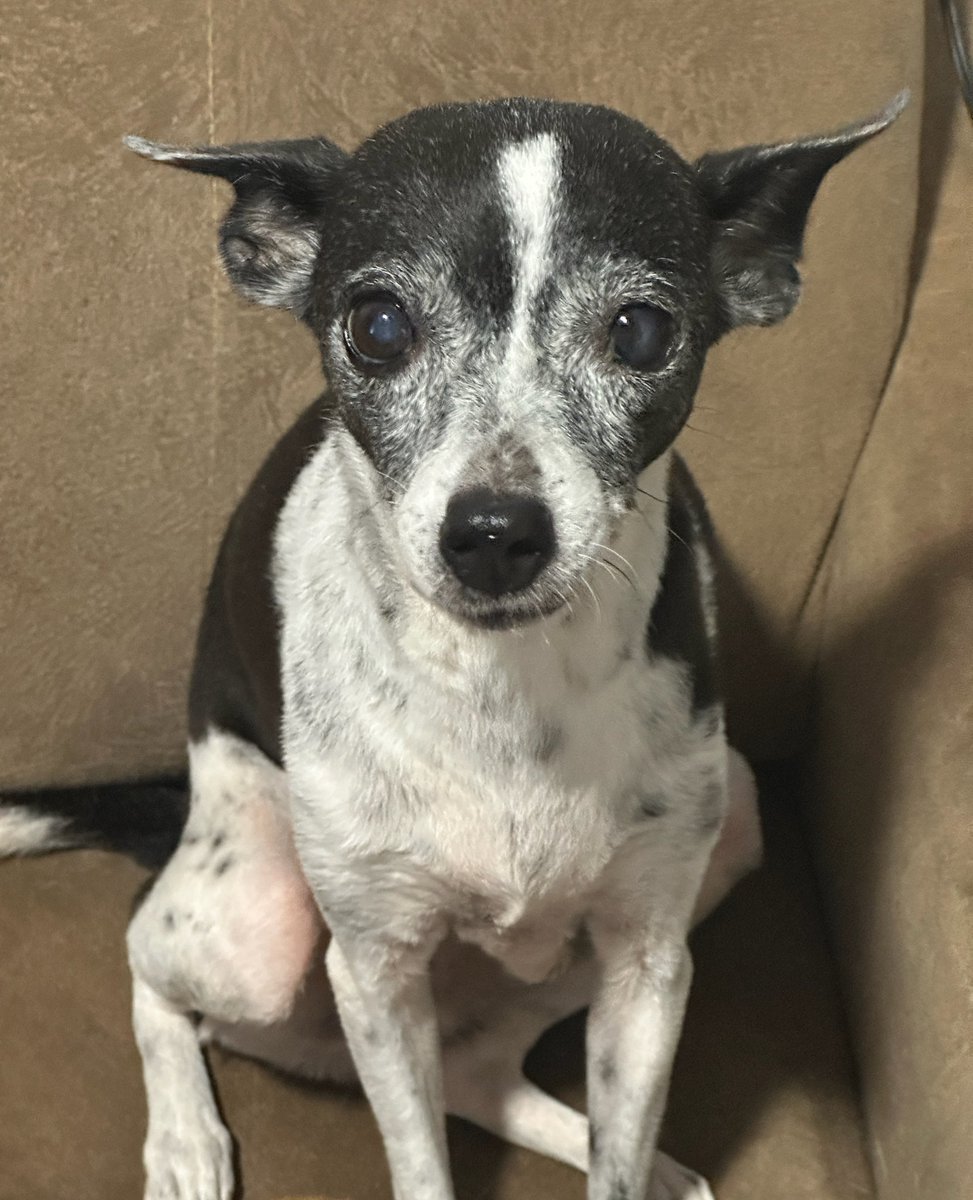 kaarolzx tweet media