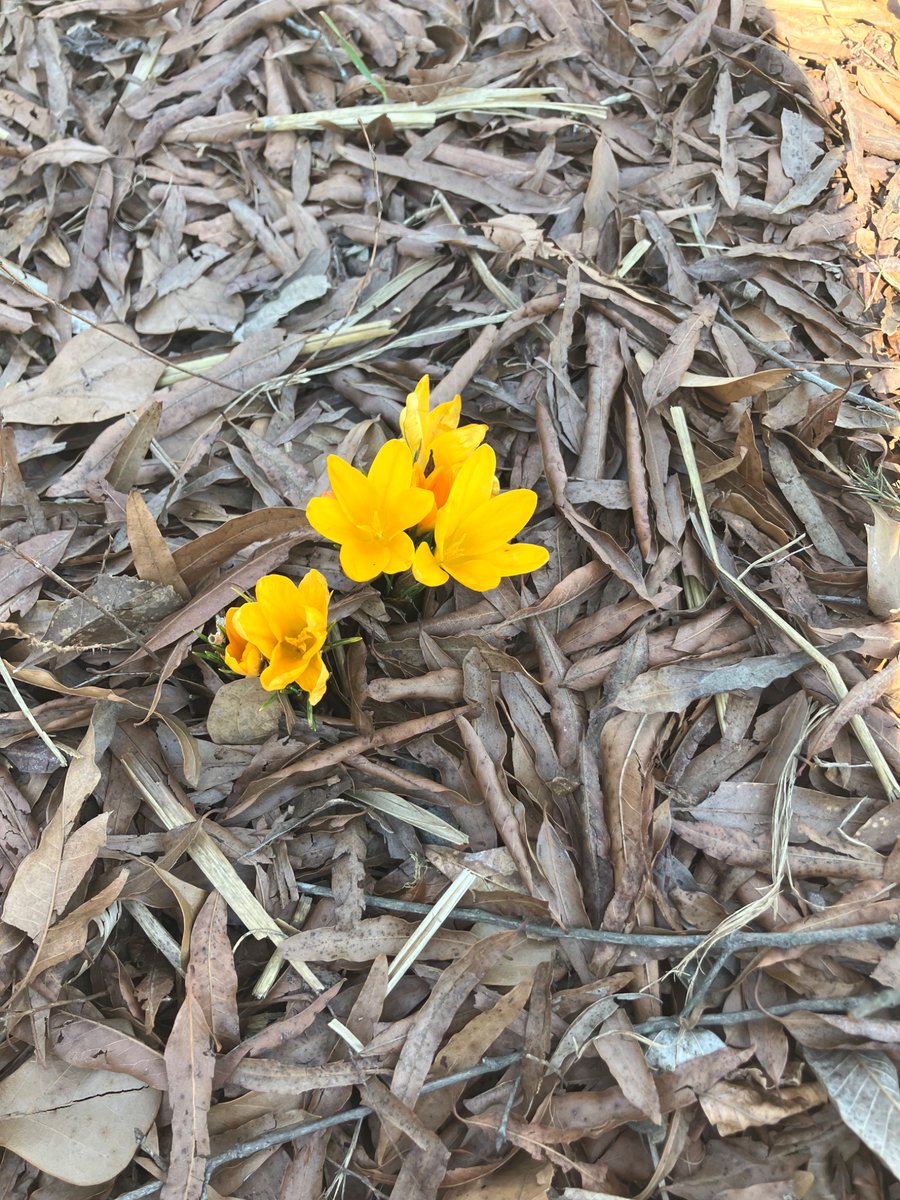 Amy Laura Hall tweet media