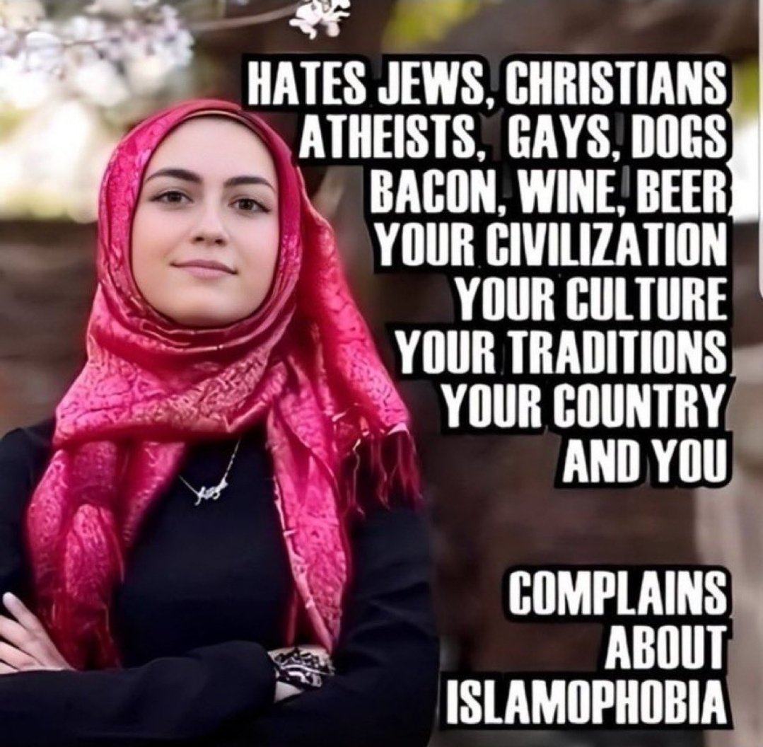 🇺🇸 Shall Not Be Infringed 🇺🇸 tweet media