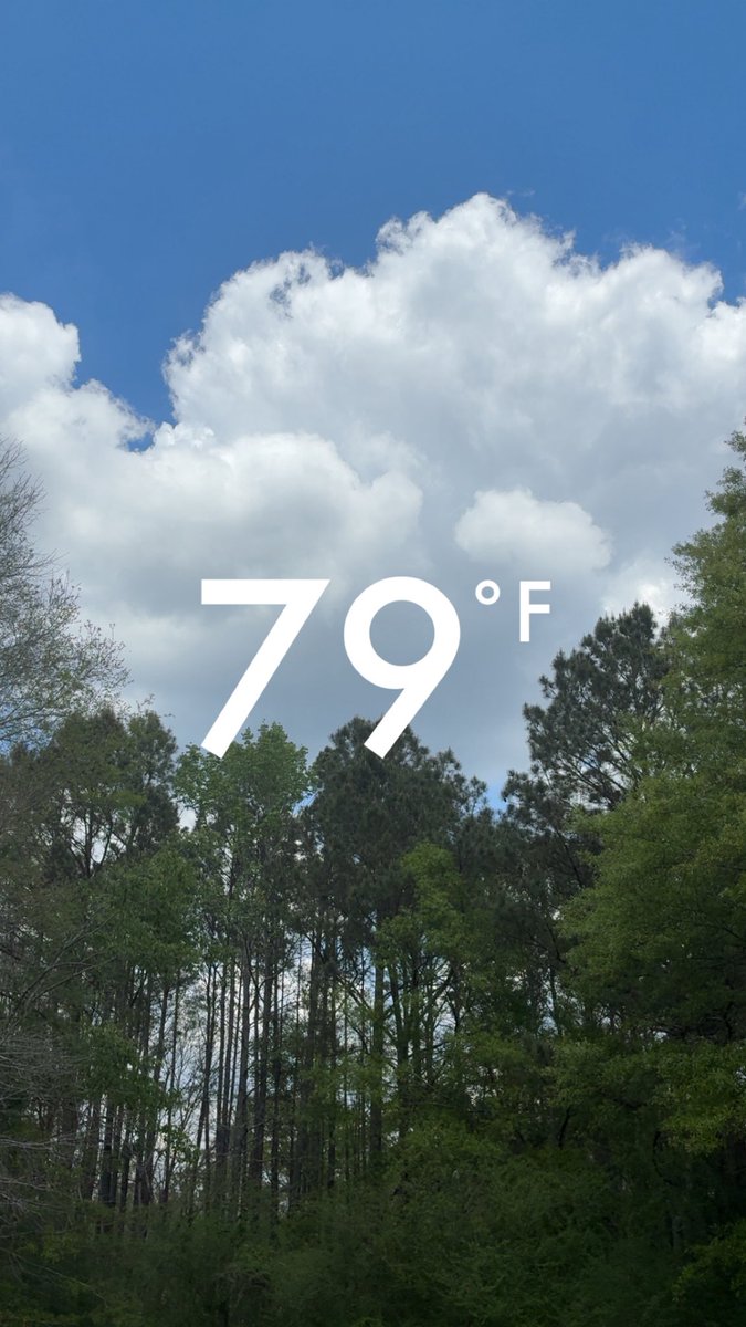 Diane Johnson Stroud tweet media