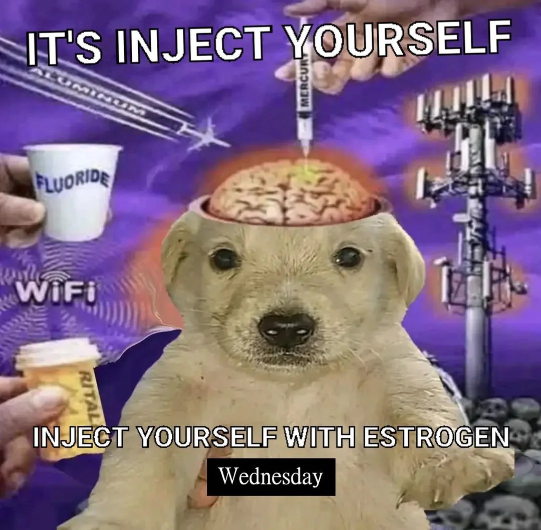 Queen Liza🩷🤍💙 tweet media