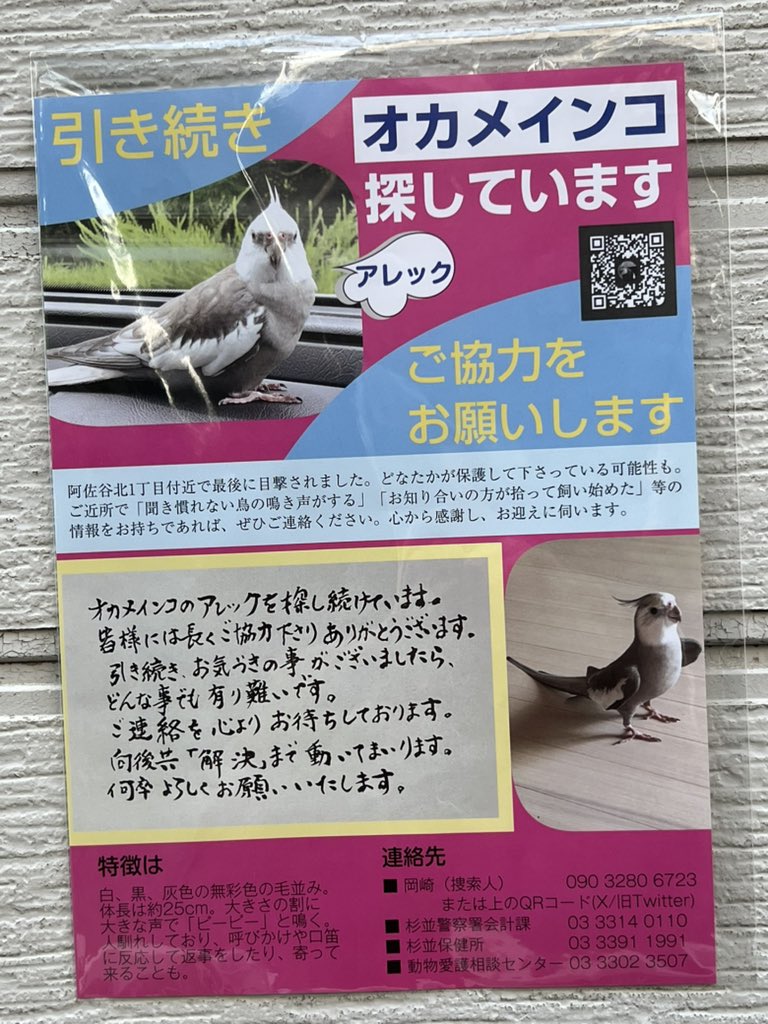 切通理作 tweet media