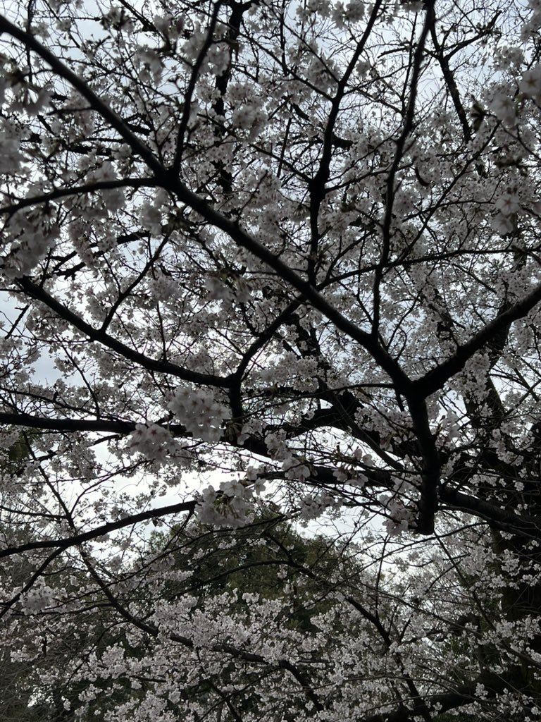 切通理作 tweet media