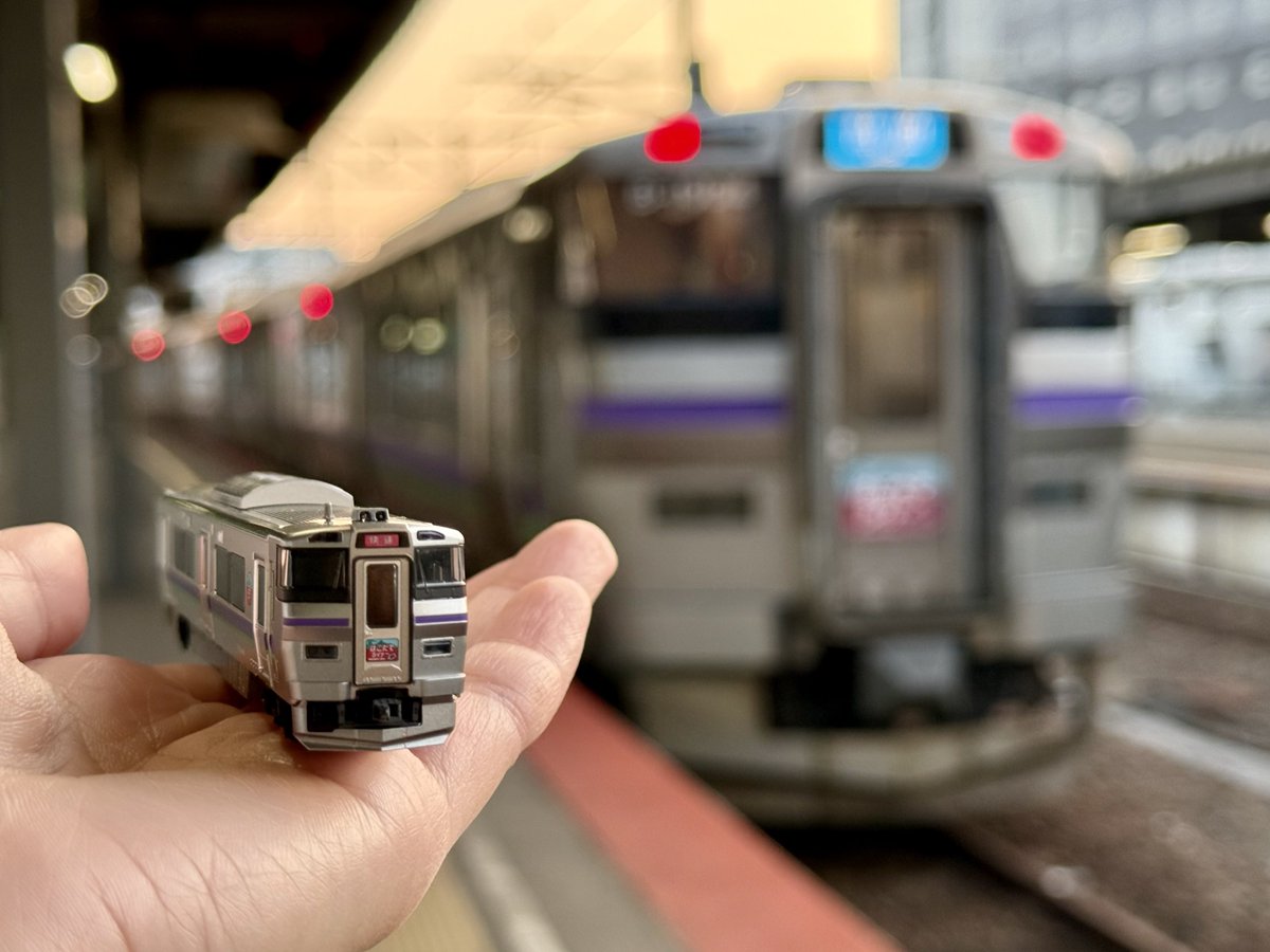 堀 若菜 tweet media