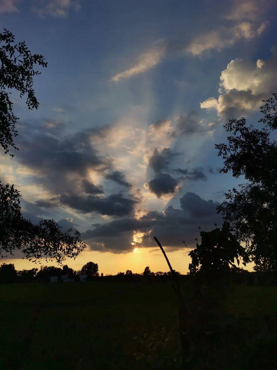 George Washington tweet media