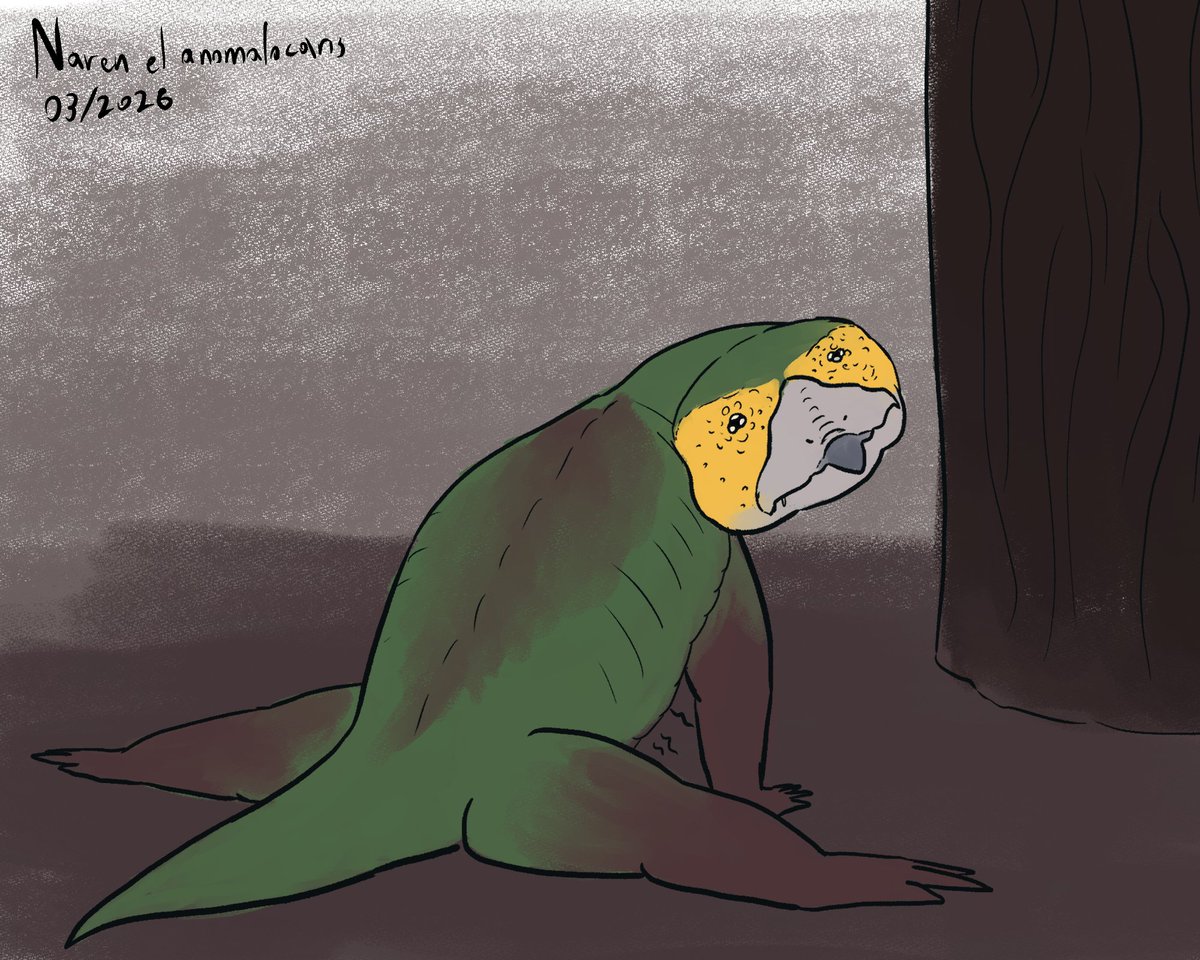 Naren el Anomalocaris tweet media