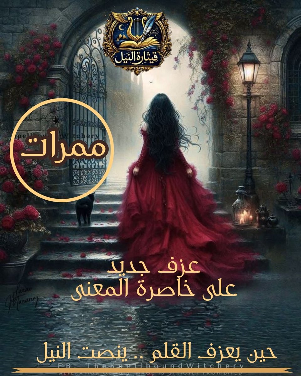 أنوار tweet media
