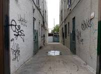 Vulpes Bio tweet media