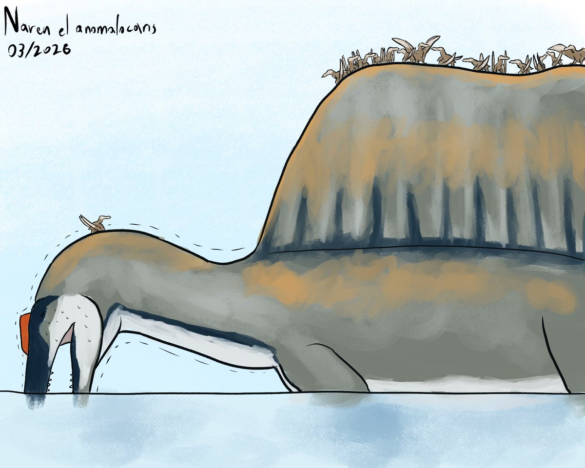 Naren el Anomalocaris tweet media