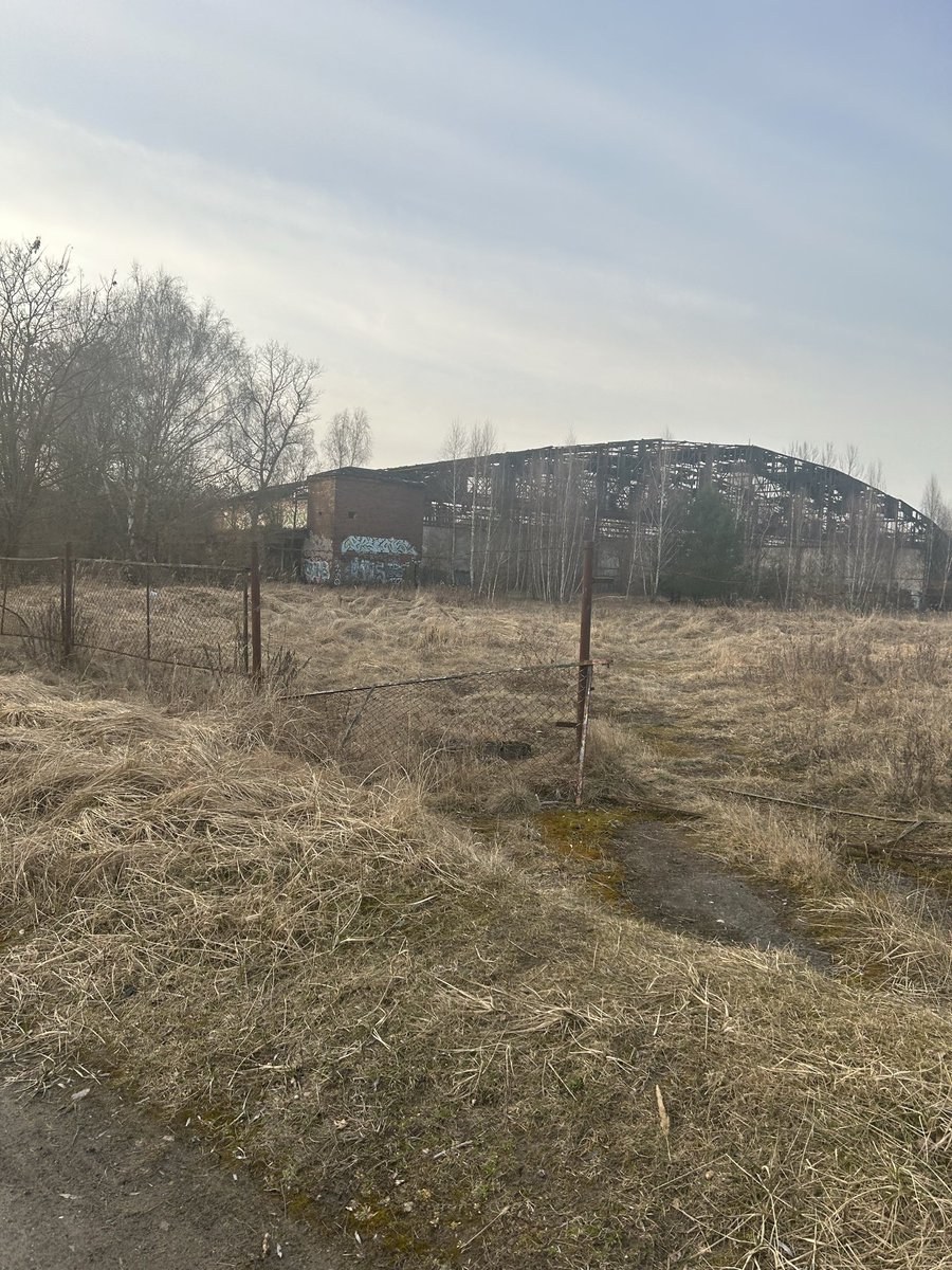 Tutel with gun tweet media