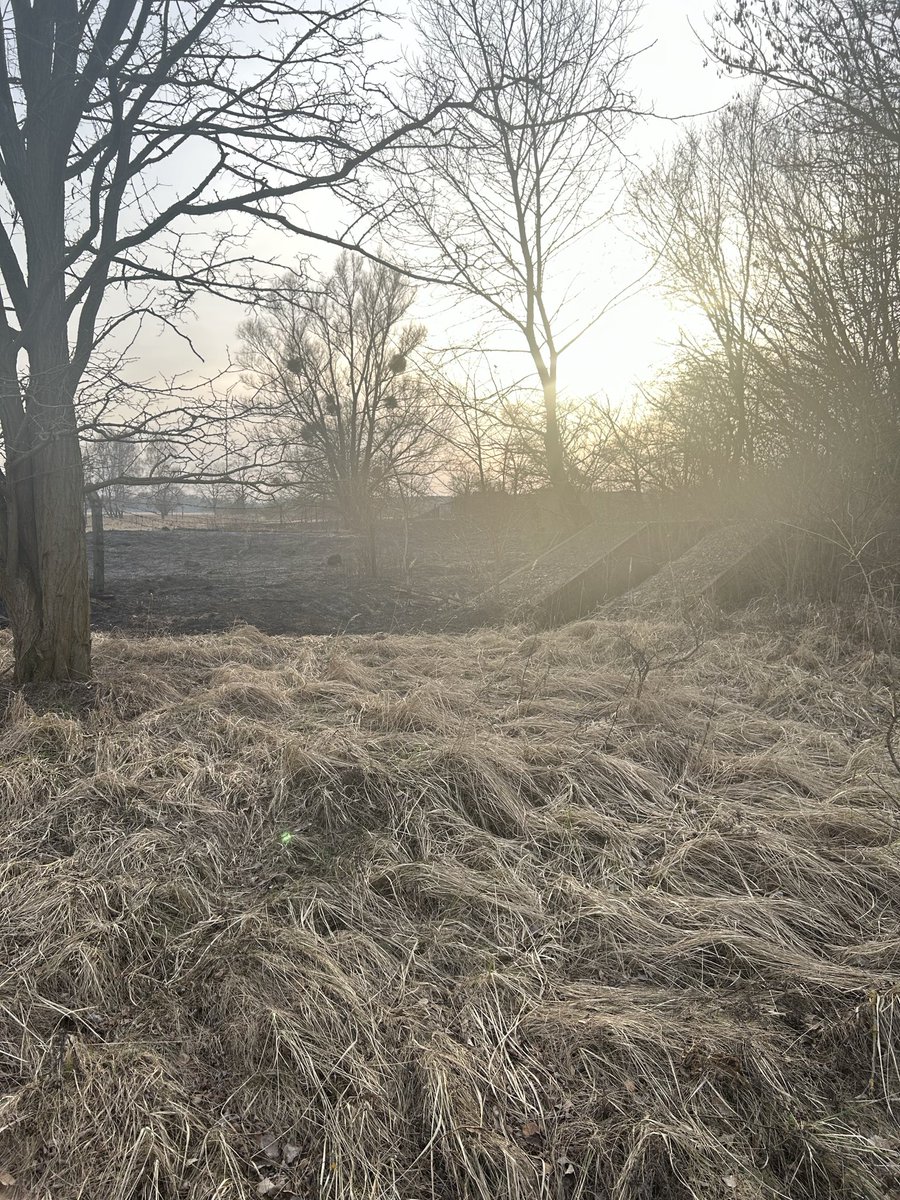 Tutel with gun tweet media