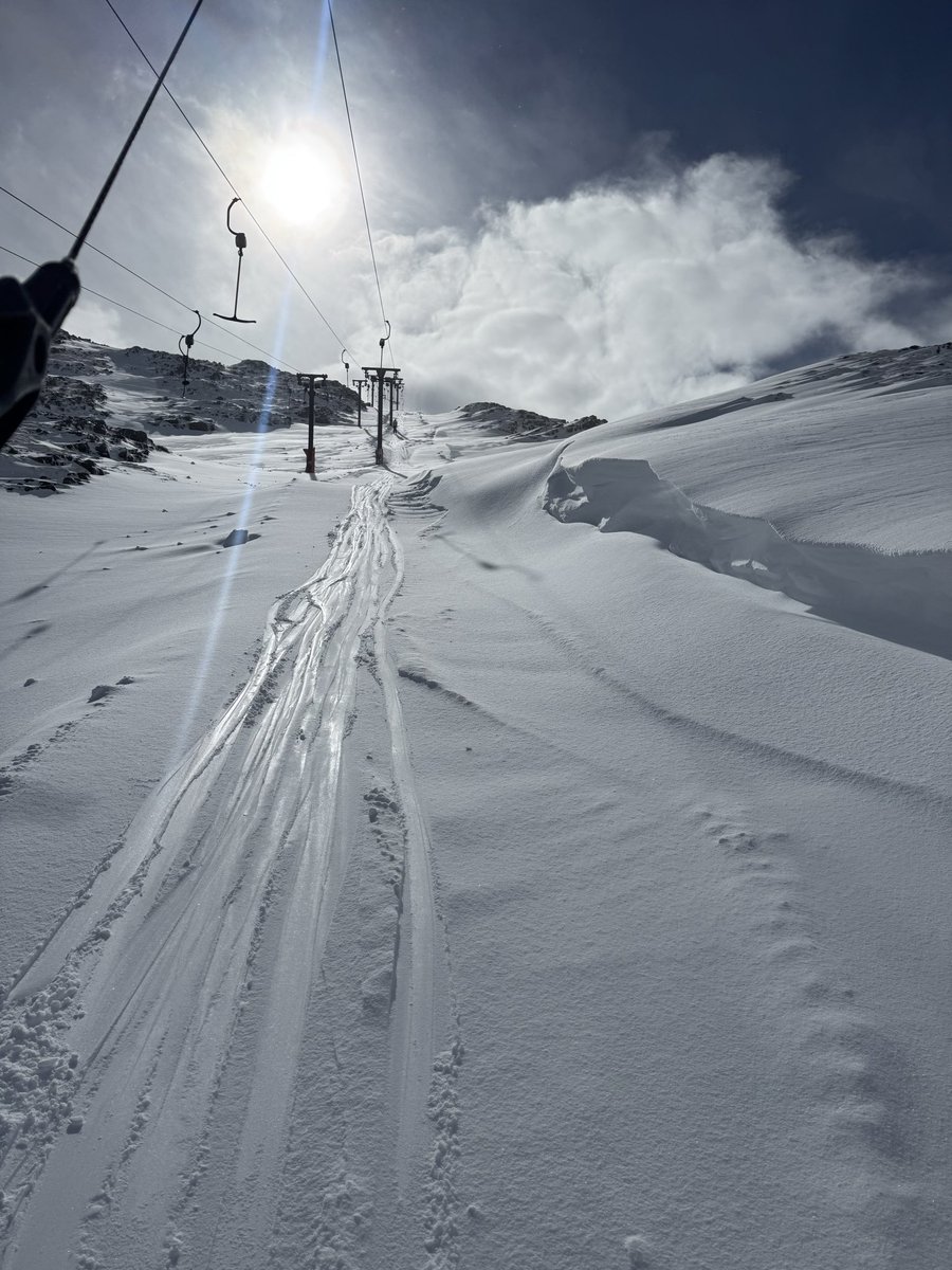 mark nicols tweet media