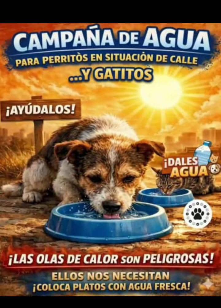 GRACE🇻🇪🆓 tweet media