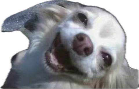 Δίεγος 🦂✨ tweet media