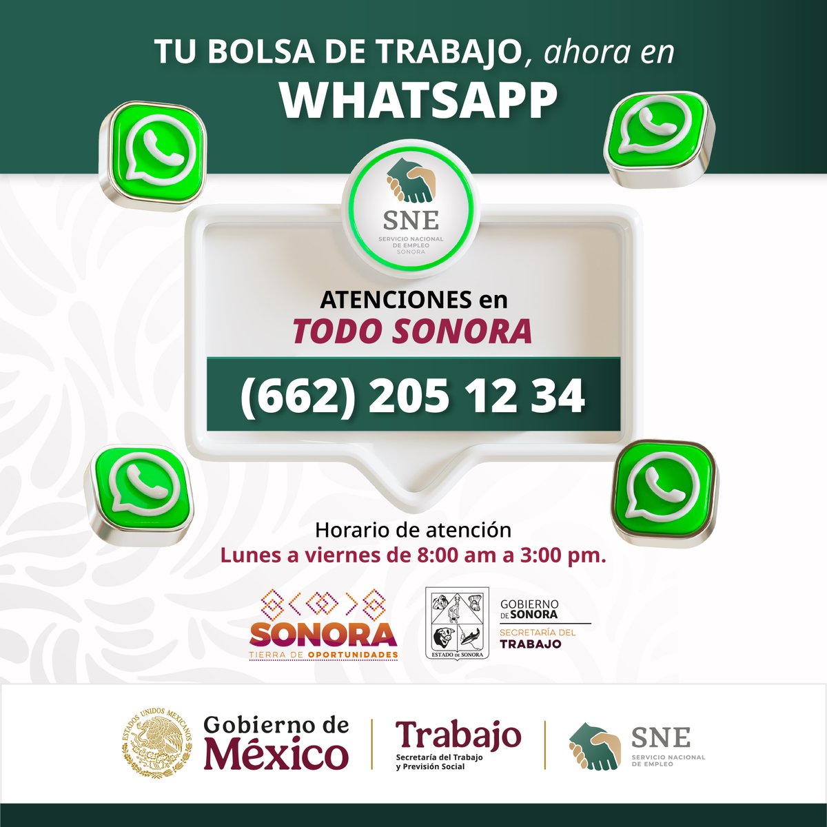 SNE Sonora tweet media