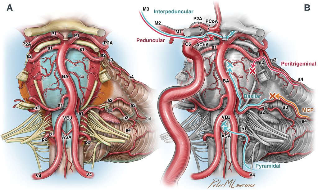 Visish M. Srinivasan, MD tweet media