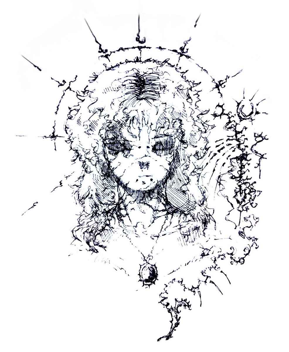 _s3n1or's tweet photo. https://t.co/TxzMTwlikZ
